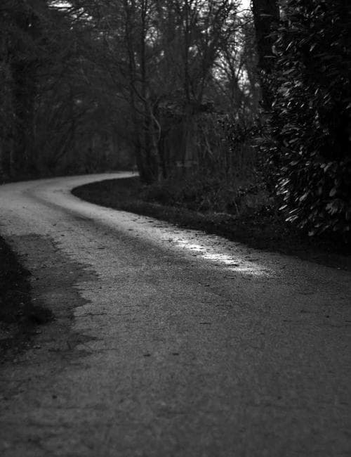Latte Art